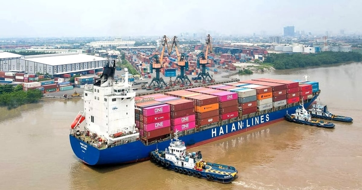 Vừa báo lãi kỷ lục, doanh nghiệp vận tải biển 10.000 tỷ bất ngờ vào diện kiểm tra thuế