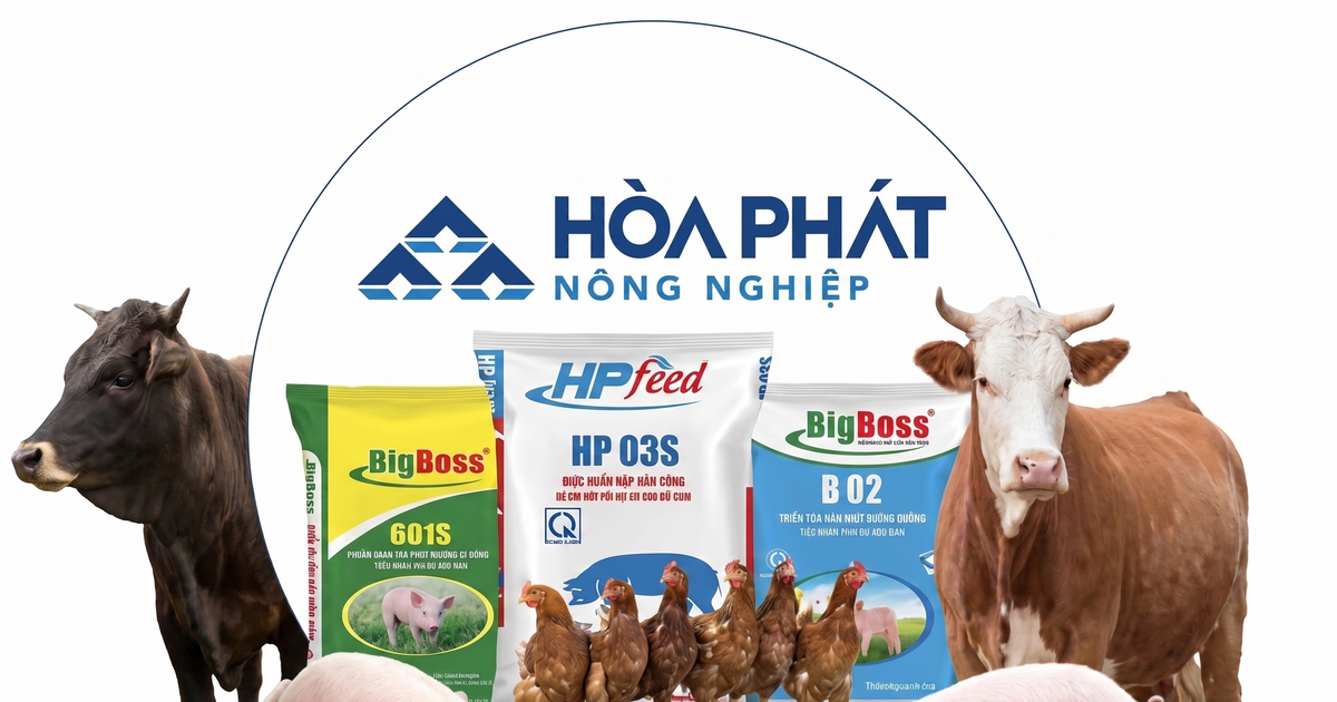 Bất chấp 'cú sốc' từ Trung Đông, mảng thức ăn chăn nuôi của Hòa Phát vẫn tăng trưởng hai chữ số