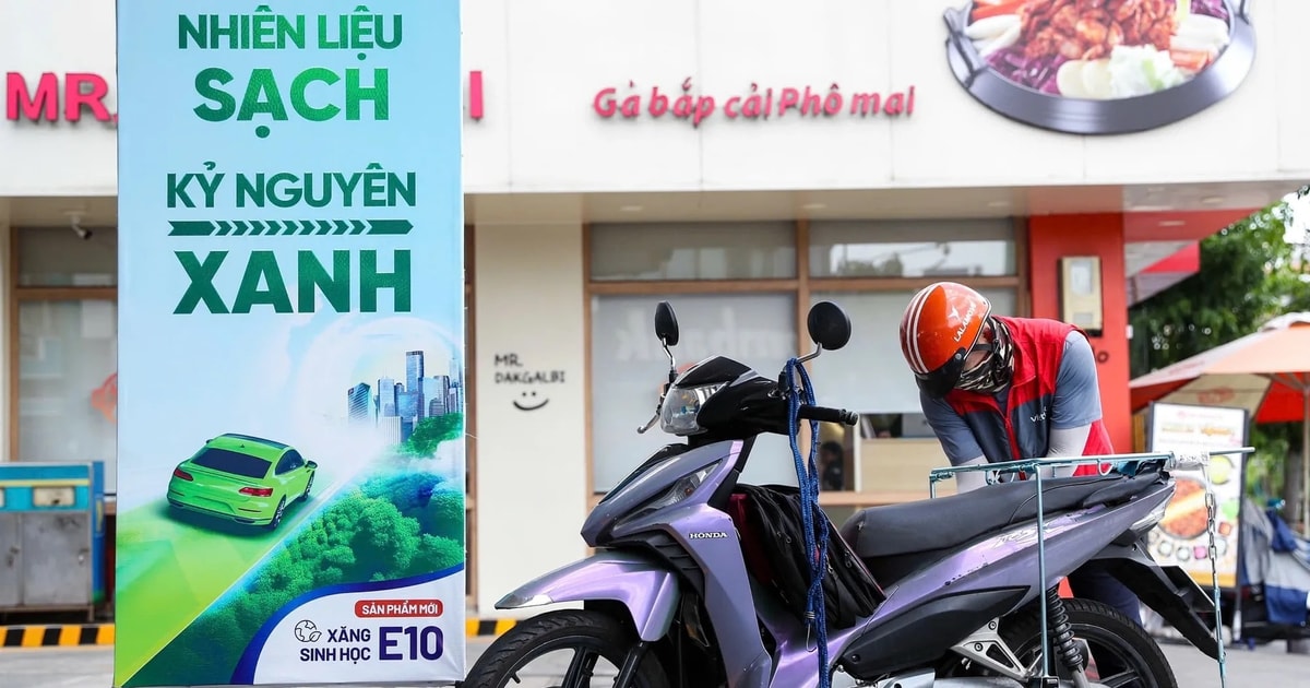 Xe m&aacute;y Honda từ đời n&agrave;o tương th&iacute;ch ho&agrave;n to&agrave;n với xăng E10?