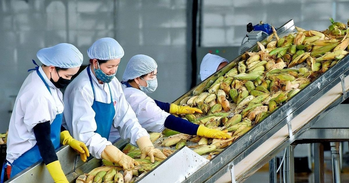 Chỉ còn khoảng 500 ngày, mục tiêu xuất khẩu nông sản 100 tỷ USD liệu có kịp?