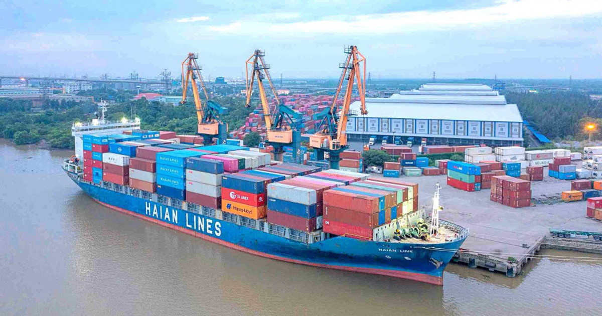 Viconship (VSC) báo lãi kỷ lục, đầu tư gần 2.500 tỷ vào HAH