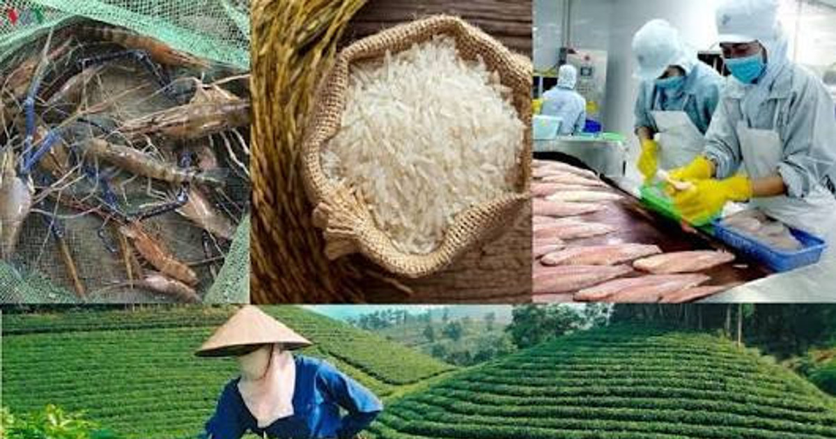 Nông sản Việt thu gần 43 tỷ USD sau 7 tháng nhưng cà phê, gạo, sầu riêng gặp khó