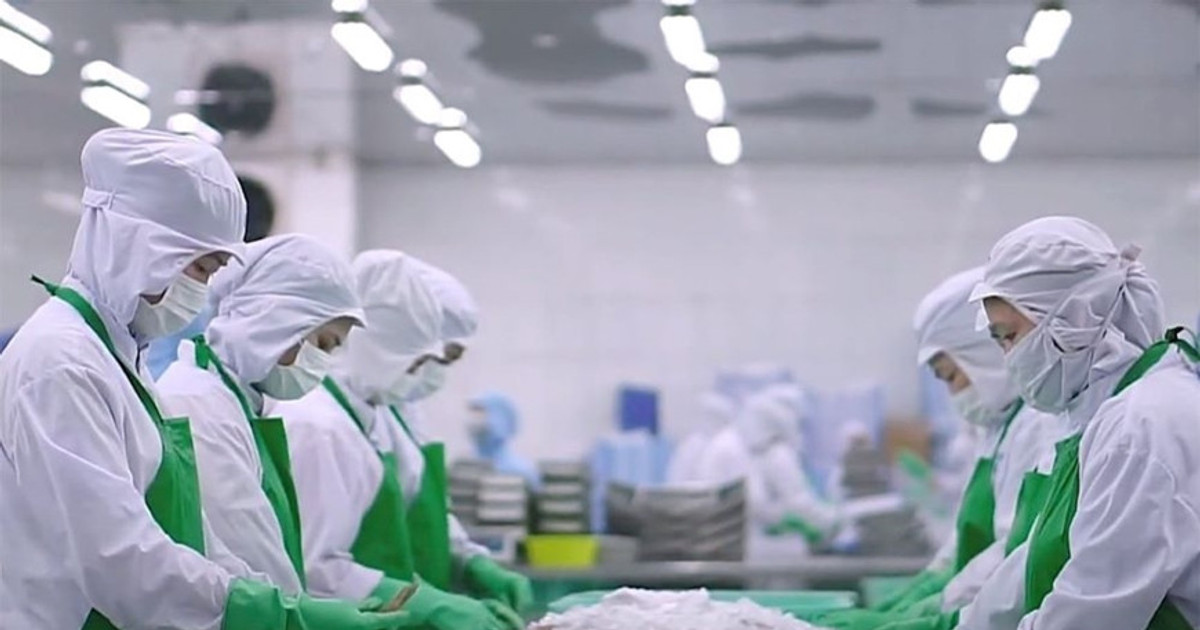 Gần 49,3 tỷ USD sau 8 tháng, xuất khẩu nông lâm thủy sản còn dư địa nào?