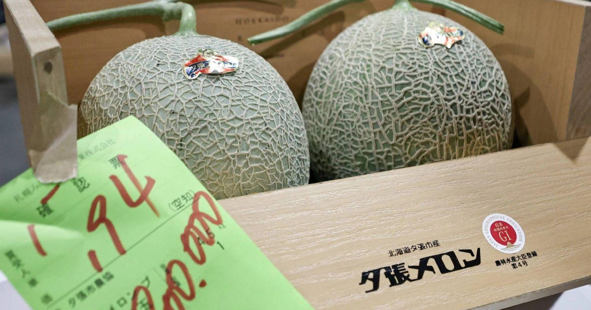 Cặp dưa lưới có giá gần 1 tỷ đồng
