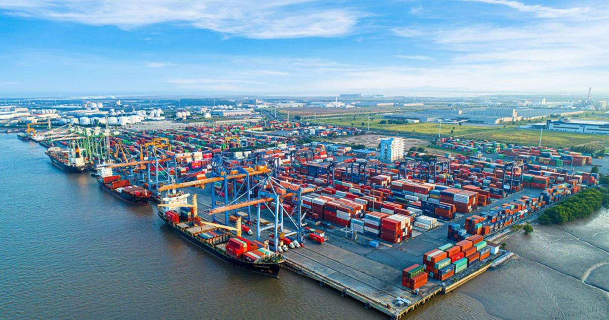 Viconship (VSC) có thể huy động gần 1.900 tỷ đồng, tham vọng xây đội ...