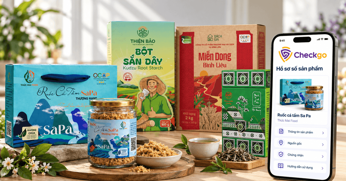 Hồ sơ số sản phẩm: Từ điểm mù dữ liệu đến kết nối trực tiếp với người tiêu dùng