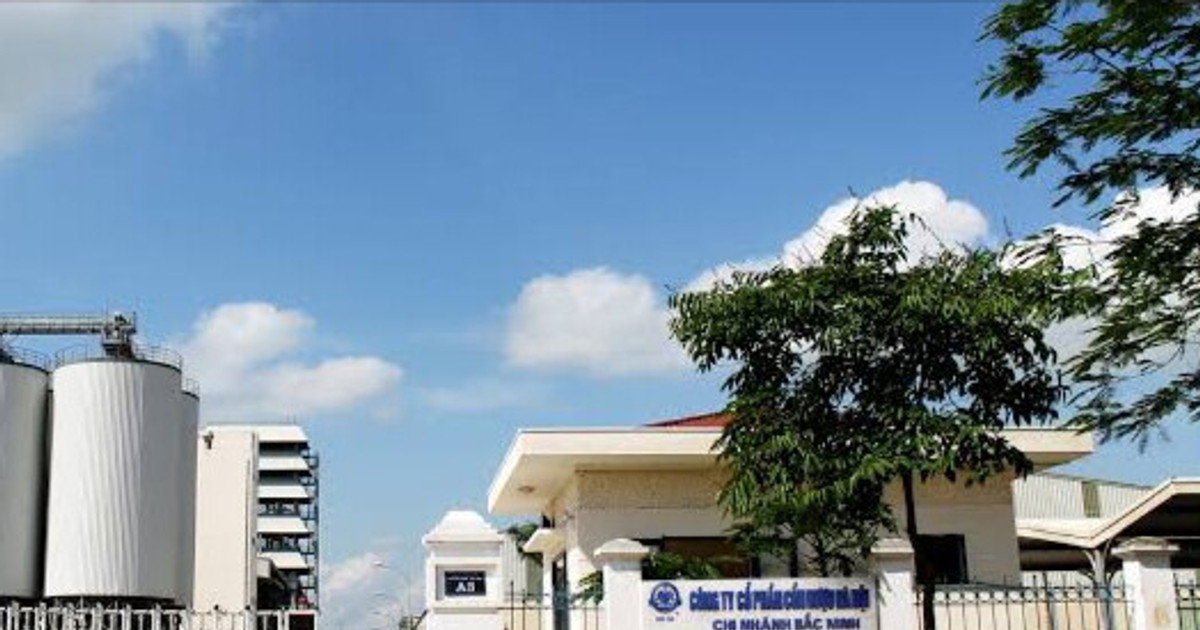 Công ty rượu hơn 120 năm tuổi báo lãi kỷ lục theo quý kể từ khi lên sàn