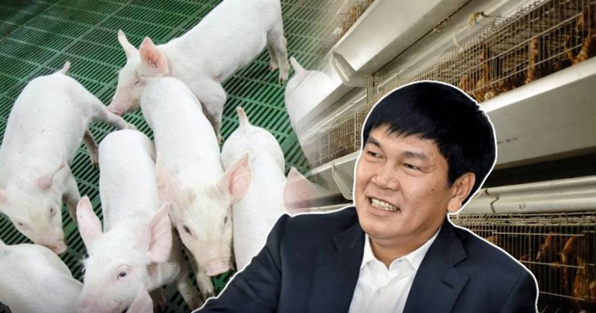 Công ty nông nghiệp của tỷ phú Trần Đình Long bán hơn 1.600 con heo, gần 1 triệu quả trứng mỗi ngày