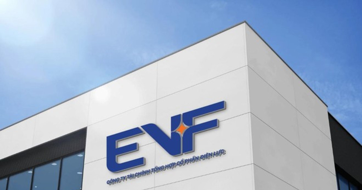 EVF phê duyệt phương án phát hành 1.000 tỷ đồng trái phiếu riêng lẻ