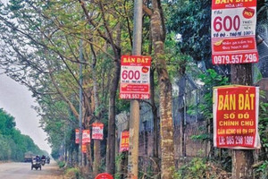 Nhà đầu tư nên làm gì khi cơn sốt đất giảm nhiệt