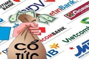 Dồn dập chia cổ tức bằng cổ phiếu cổ đông ngân hàng có hưởng lợi ?