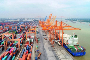 Vận tải biển cạnh tranh khốc liệt, chèn ép hãng tàu ngoại