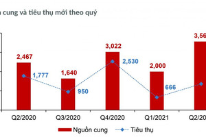 Thị trường Bất động sản nhà ở TP.HCM & vùng phụ cận quý 2/2021