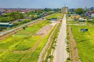 Thị trường vùng dịch đóng băng, nhà đầu tư đứng ngồi không yên