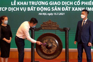 DXS chào sàn cổ phiếu đỏ lòm, nhà đầu tư lơ ngơ