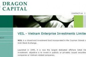 Quỹ VEIL gia tăng tỷ trọng danh mục trước cú sụp của chứng khoán Việt