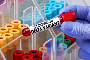 Delta, chúng ta biết gì về chủng virus này?