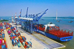 Dù thị trường rực lửa nhưng nhóm cổ phiếu cảng biển, logistic vẫn sắc xanh
