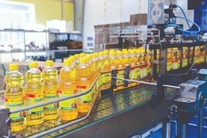 KIDO (KDC): Tiềm năng tăng trưởng lợi nhuận vẫn còn trong nửa cuối năm 2021