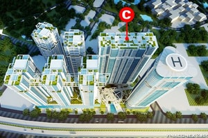 Cổ phiếu VC2 bứt phá sau 2 tháng, loạt cổ đông lớn chốt lời "dọc đường"