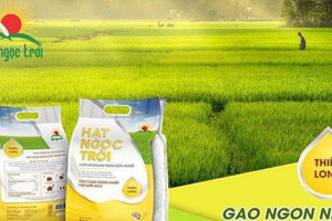 Lộc Trời đã thay đổi chiến lược kinh doanh