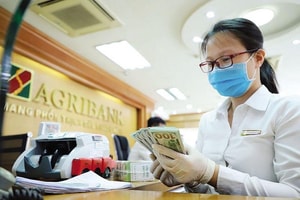 Tạo lập vành đai xử lý nợ xấu