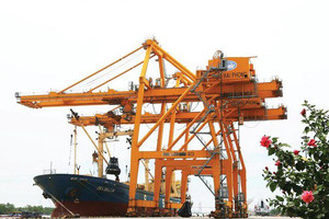 Báo lãi vượt chỉ tiêu cả năm, cổ phiếu Vinalines (MVN) trần phiên thứ 6 liên tiếp