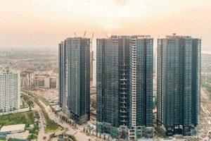 Sau 5 phiên lên sàn, vốn hóa Sunshine Homes đạt ngưỡng 13.150 tỷ đồng