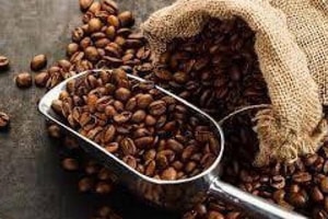 Bản tin cà phê ngày 13/4/2012: Liệu các nhà đầu cơ có ra tay đẩy giá cá phê trong ngắn hạn ?
