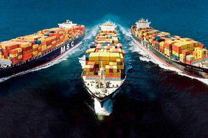 Ngành vận tải biển nửa cuối năm 2021: Động lực tăng trưởng không chia đều