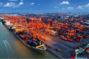 Cước vận tải biển tăng, kim ngạch xuất khẩu cũng tăng, liệu có nghịch lý?