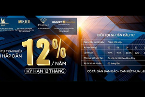 Ồ ạt phát hành trái phiếu: Hệ sinh thái Tân Hoàng Minh nơi tuột dốc, nơi lỗ ngàn tỷ