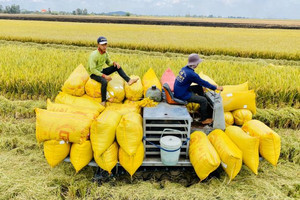 Cổ phiếu doanh nghiệp kinh doanh gạo biến động ra sao sau 3 quý đầu năm?