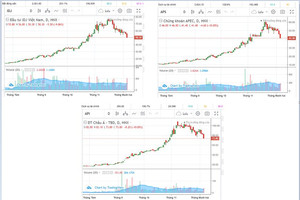 Cổ phiếu và đồ thị ngày 6/12: API - APS - IDJ cùng nhau lên đỉnh, cùng nhau đổ đèo