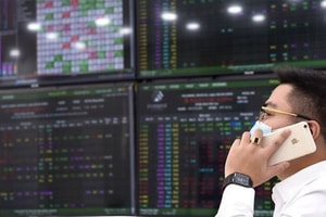 Kỷ lục 21 năm TTCK: Thêm 220.817 tài khoản chứng khoán gia nhập thị trường trong tháng 11