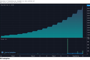 Cổ phiếu TBH của Tổng Bách Hóa tăng hơn 12 lần sau 4 tháng?
