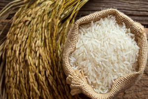 Xuất khẩu gạo: Cần tập trung vào thị trường trọng điểm