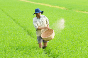 Xuất khẩu phân bón tăng mạnh 3 tháng liên tiếp