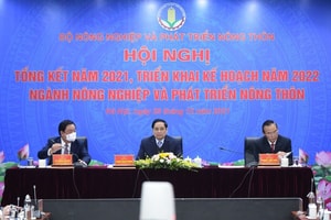 Tổng kết ngành Nông nghiệp và Phát triển nông thôn 2021, xây dựng kế hoạch năm 2022