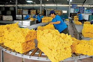 Nhu cầu giảm, giá xuất khẩu cao su bình quân tháng 11 chạm đáy gần 2 năm