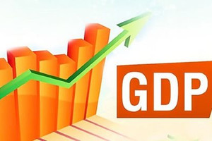 Tăng trưởng GDP năm 2021 tăng 2,58%, thấp hơn mức dự báo của Bộ Kế hoạch và Đầu tư