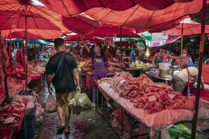 Nhằm hạ nhiệt giá heo, Thái Lan cấm xuất khẩu heo sống trong 3 tháng