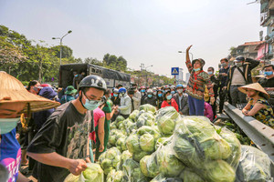 Mở rộng thị trường tiêu thụ nông sản trong nước