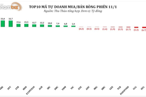 Tự doanh chứng khoán "tháo" khỏi cổ phiếu FLC