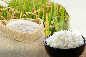 Giá lúa gạo hôm nay 18/1: Ổn định tại thị trường trong nước