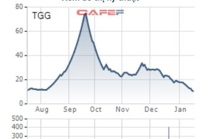 Louis Capital (TGG): Lập lờ thông tin tài chính