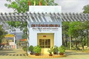 Bán niên vụ tài chính 2021 - 2022, Mía đường Sơn La (SLS) đạt gần 329 tỷ đồng doanh thu