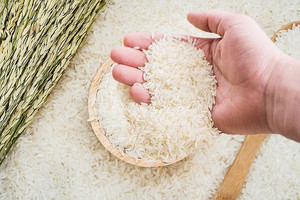Giá lúa gạo hôm nay 22/1: Đi ngang