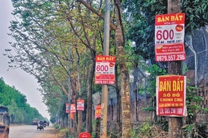 20 địa phương có nguy cơ "sốt đất" năm 2022