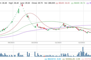 Louis Capital (TGG): Doanh thu 2021 gấp 80 lần, cổ phiếu trần 3 phiên liên tiếp